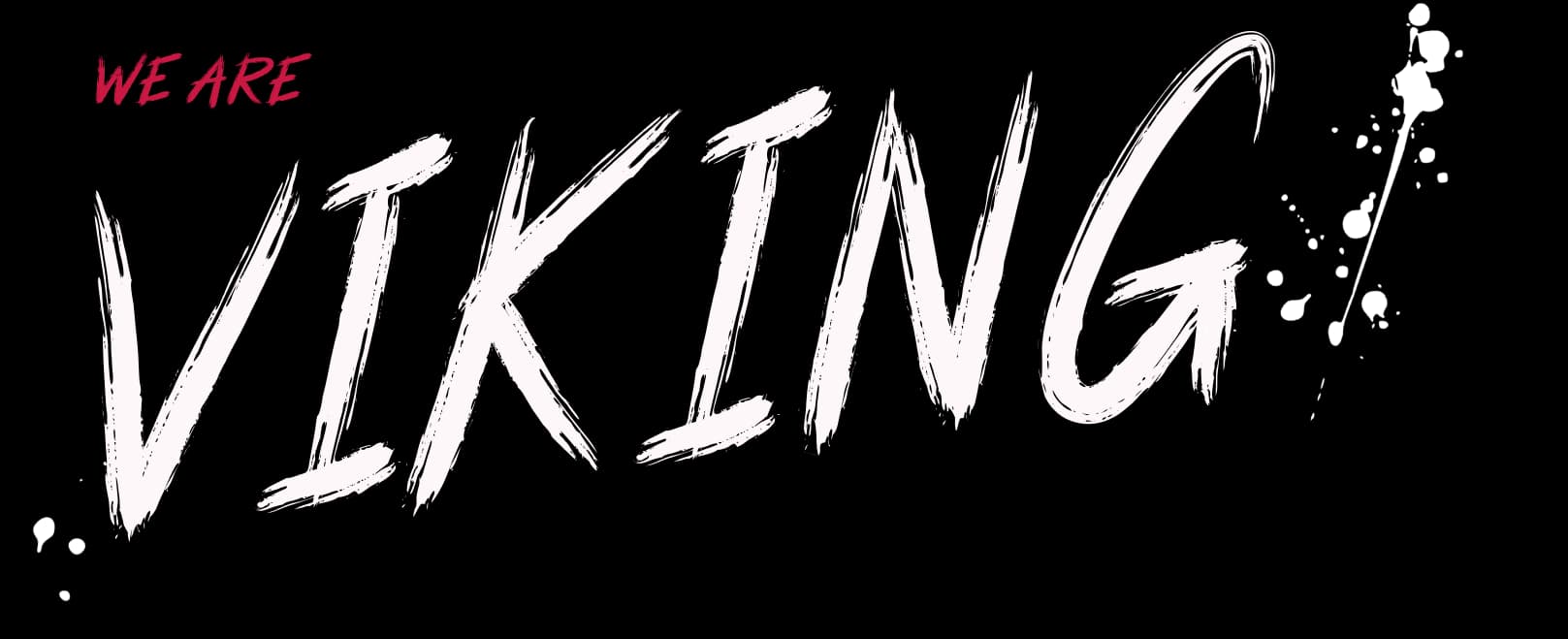 We are Viking